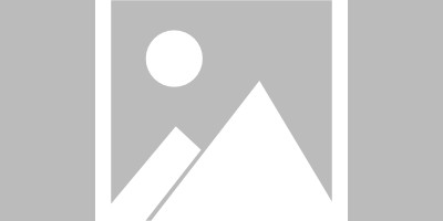 唐斯24+20森林狼屠龙，猛龙遭遇五连败  
